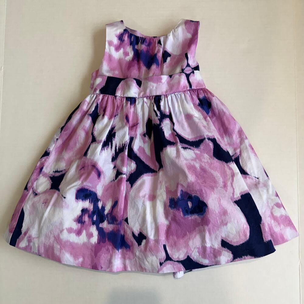 Dressed Up by Gymboree Spring Summer Dress Floral Garden Size 18-24M